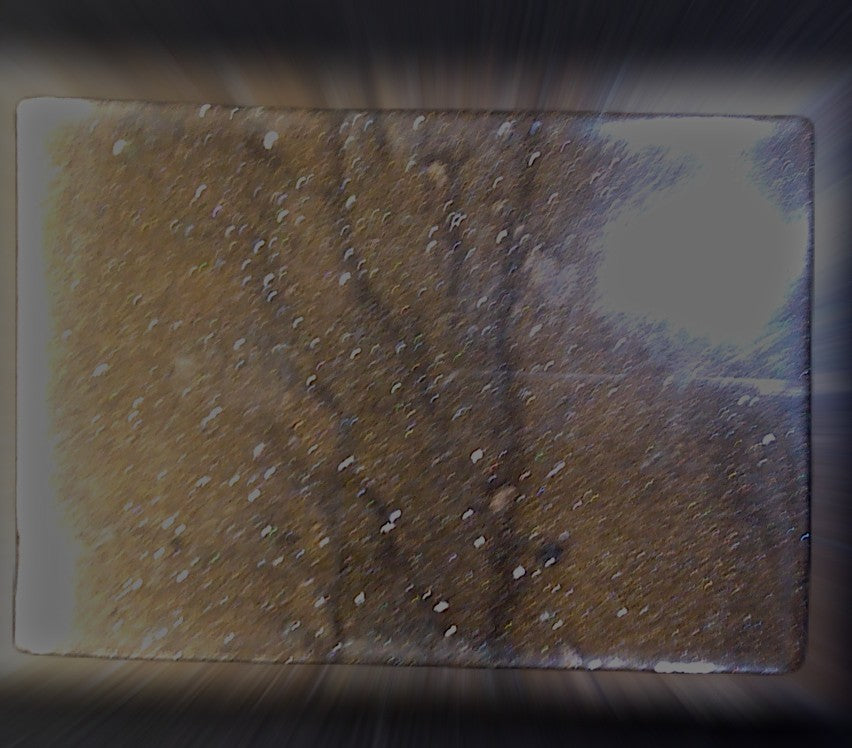 Baked Oatmeal Cookie Soap