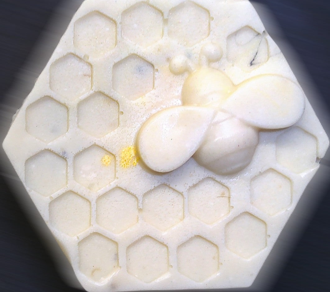 Lemon Eucalyptus & Sweet Orange - Round
